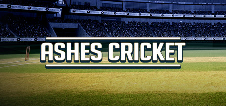 Cricket games for pc online